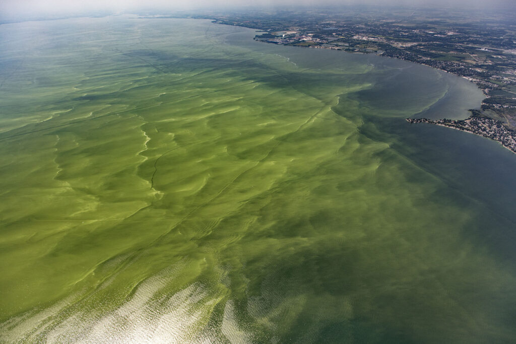 Harmful Algae Bloom Detection