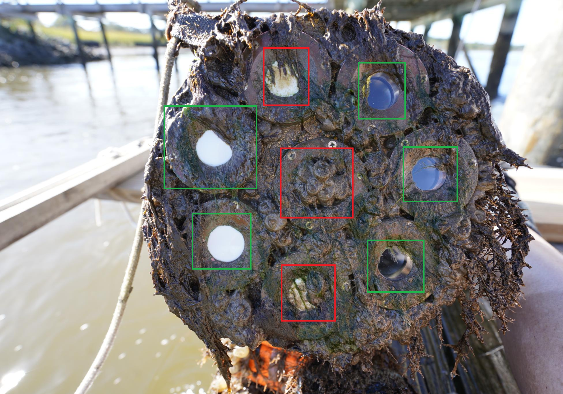 BioCLEAR South Carolina highlighted